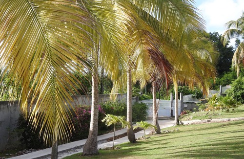 Saint Felix House | Kreyol Eden Cottage, new one-bedroom apartment located in a peaceful green setting near the sea