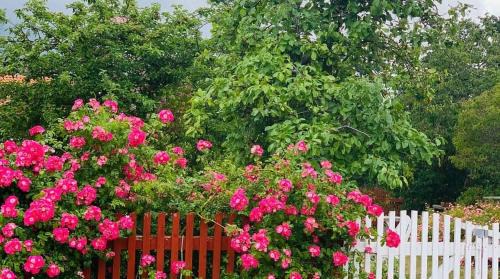 Fagelmara House | Kristianopel Gästgifveri