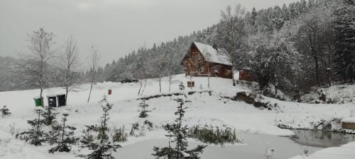 Baligrod House | Kryjówka Yetiego Domek w zaciszu Bieszczad z jacuzzi
