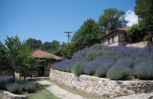 Agios Dimitrios Apartment | Ktima Bellou