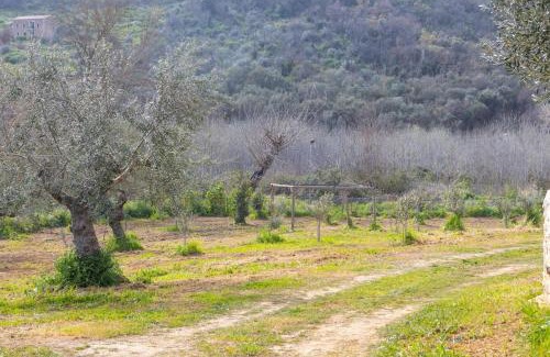 Karvelas Villa | Ktima Katerina