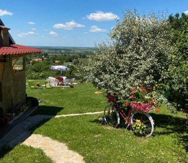 Cerevic House | Kuća Čerevićki Vidikovac