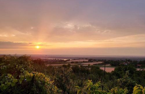 Cerevic House | Kuća Čerevićki Vidikovac