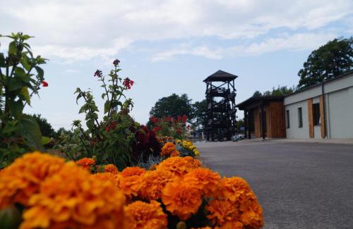 Pieriga Hotel | Kuivižu Krogs - motelis