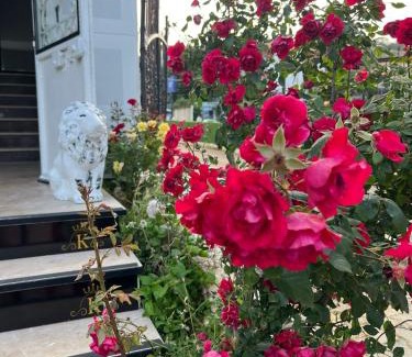 Suleymanpasa Bed & Breakfast | Kumbağ Otel