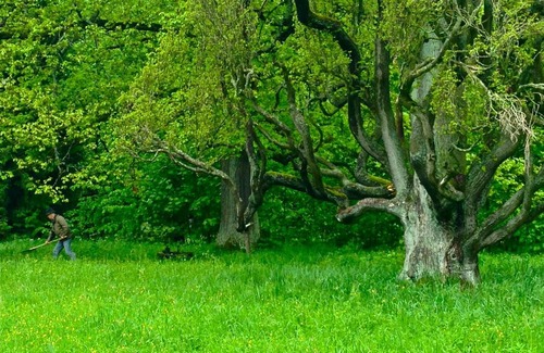 Reinhardsbrunn House | Kunstpark Reinhardsbrunn