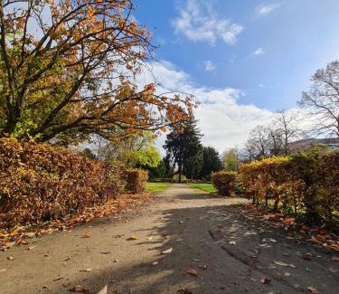 Oberstadt Apartment | Kupferberg - helles und gemütliches Appartement in Uninähe