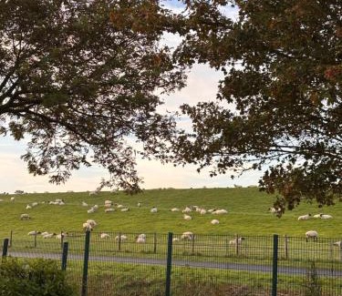 Norden House | Lüttje Koje - Ferienhaus direkt am Deich und dem Meer dahinter