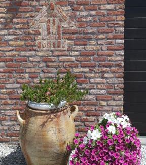 Couvin Apartment | L'évasion du berger australien