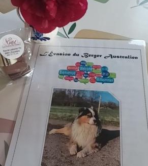 Couvin Apartment | L'évasion du berger australien