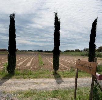 Grosseto Apartment | L' Aia di Carinda R.T.A.
