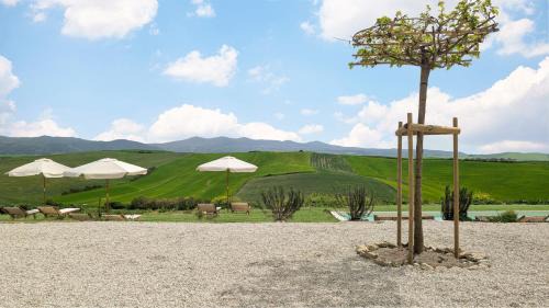 Santa Luce Apartment | L'Arco presso Podere del Bagnolino