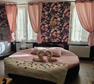 Luneville Apartment | L'atelier des rêves, balnéo, lit rond, centre-ville