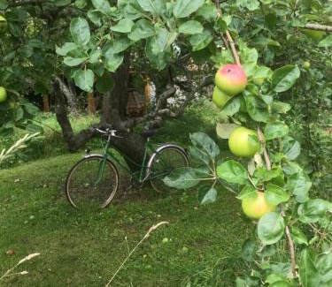 Pont-a-Mousson Apartment | L'esprit cabane