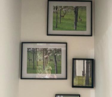 Montagnac-sur-Auvignon Bed & Breakfast | L'Horizon de Marianne