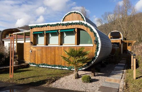 Sainte-Croix-aux-Mines House | L'Oasis des Coccinelles