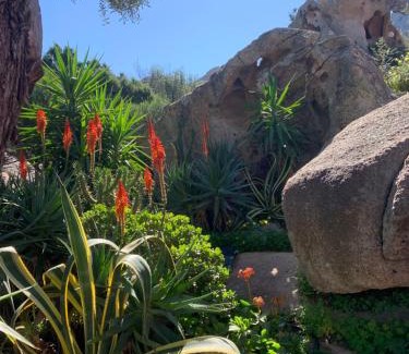 Liscia di Vacca House | L'Olivastro Appartamenti a Porto Cervo