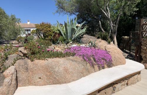 Liscia di Vacca House | L'Olivastro Appartamenti a Porto Cervo