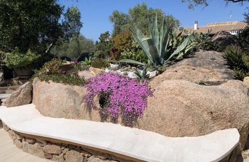 Liscia di Vacca House | L'Olivastro Appartamenti a Porto Cervo