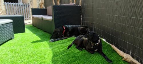 Cercs Apartment | La Bombonera del Berguedà