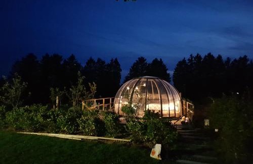 Ovifat Cabin | La bulle au bois dormant d'ovifat