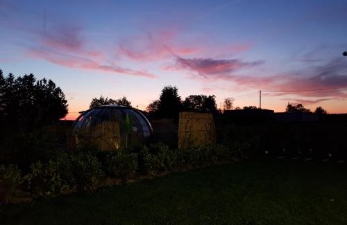 Ovifat Cabin | La bulle au bois dormant d'ovifat