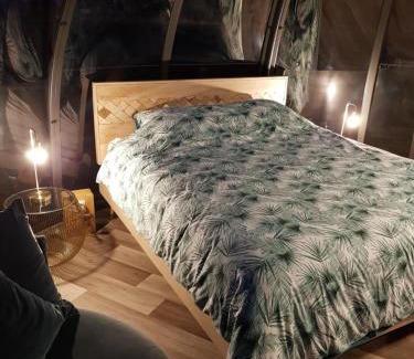 Ovifat Cabin | La bulle au bois dormant d'ovifat