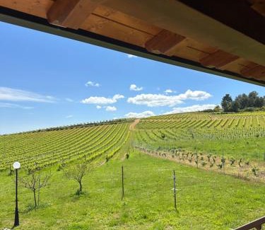 Canedo House | La casa de Canedo