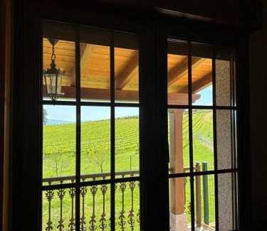 Canedo House | La casa de Canedo