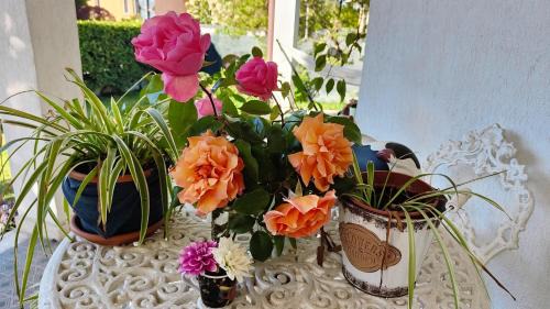 Trezzano sul Naviglio Bed & Breakfast | La Casa della Rosa Nana