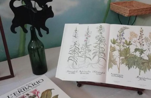 Civitella Casanova Bed & Breakfast | La casa di Zia Mimina