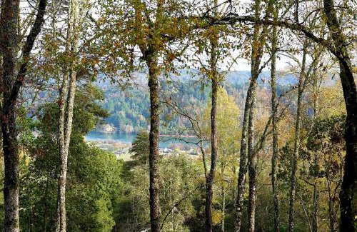 Valdivia Apartment | LA CASA EN EL BOSQUE con vista al Río