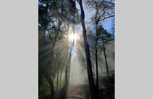 Valdivia Apartment | LA CASA EN EL BOSQUE con vista al Río