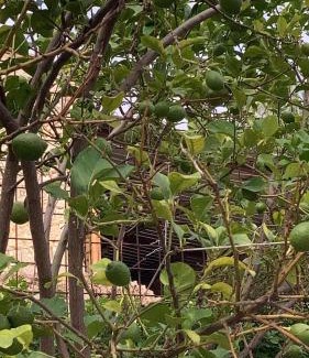 Terni Apartment | LA CASA FRA gli ULIVI UMBRA