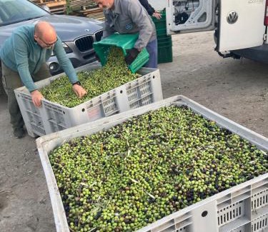 Terni Apartment | LA CASA FRA gli ULIVI UMBRA