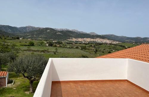 Berchidda House | La casa nell'oliveto