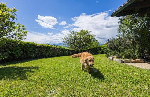 Lessona Bed & Breakfast | La Casba del Bruno Selvago