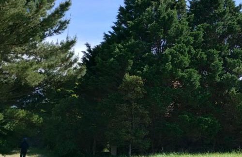 Colonia Chapadmalal Apartment | La casita de Bonsai