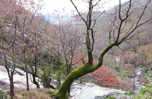 Cabezuela del Valle Apartment | La casita del jerte