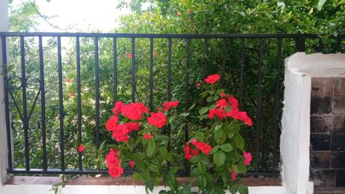 Almedinilla House | La Casita Verde Valle