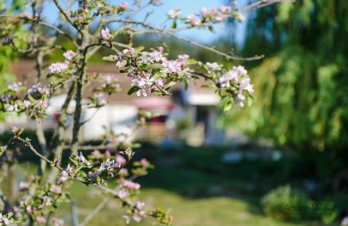 Vaire Bed & Breakfast | La Chèvrerie