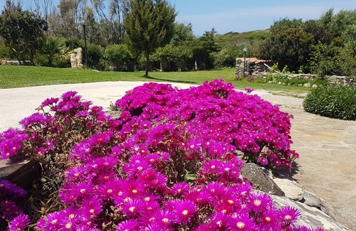 Sassari House | La Chintana A charming villa with pool