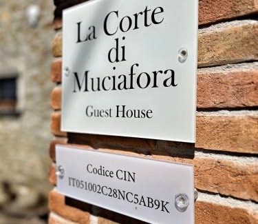 Ponte Buriano Apartment | La Corte di Muciafora