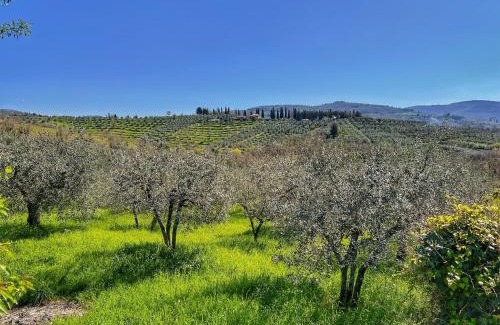 Ponte Buriano Apartment | La Corte di Muciafora
