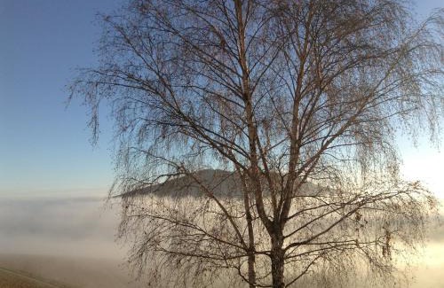 Quincie-en-Beaujolais Bed & Breakfast | La Croix de Saburin