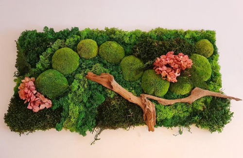 Padola Bed & Breakfast | La Culla B&B