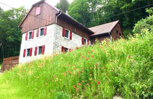 Linthal Ski Chalet | La Désirade Incroyable lodge typique dans les Vosges du Sud