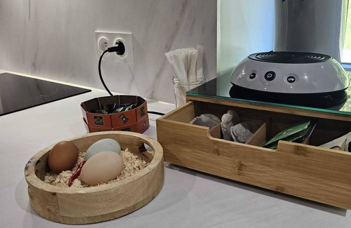 Belfort Apartment | La Dame - Cosy Studio - Near GE and Alstom