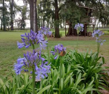 San Andres de Giles House | La Esperanza