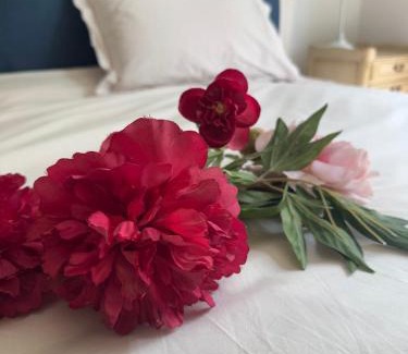 Saint-Etienne-au-Mont Bed & Breakfast | La Forestière du Château